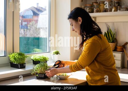 Frau schneidet Mikrogemüse in der Küche am Morgen Stockfoto