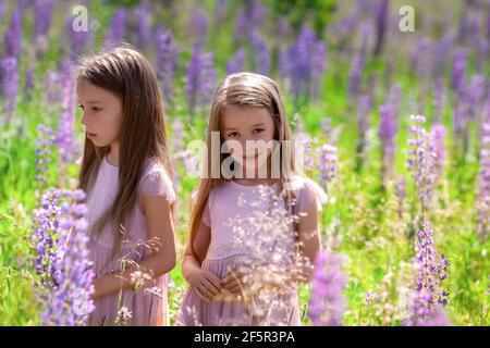 Portrait von glücklichen identischen Zwillingsschwestern mit langen Haaren zeigt verschiedene Emotionen in schönen Kleidern bei sonnigen Natur im Gras und Blumen. Stockfoto