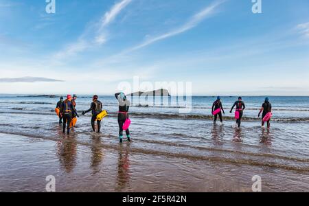 Eine Gruppe wilder Freiwasser-Schwimmerinnen, die Neoprenanzüge mit Schwimmhilfen tragen, betreten Firth of Forth Sea, North Berwick, East Lothian, Schottland, Großbritannien Stockfoto