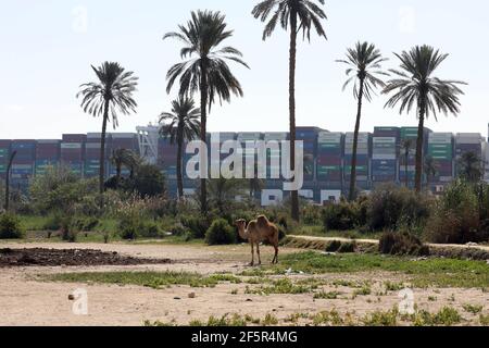 Suezkanal, Ägypten. März 2021, 27th. Das Foto vom 27. März 2021 zeigt das festsitzende Containerschiff, das jemals auf dem Suezkanal in Ägypten abgegeben wurde. Mindestens 321 Schiffe sind derzeit rund um den Suezkanal in Erwartung Bergung des riesigen Containerschiffes je gegeben, dass stecken geblieben und blockiert die lebenswichtige Wasserstraße seit Dienstag, Osama Rabie, Vorsitzender der Suezkanal Authority (SCA), sagte Samstag. Quelle: Ahmed Gomaa/Xinhua/Alamy Live News Stockfoto