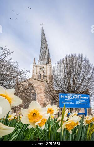 Die Kirche Crooked Spire of St Marys and all saint Chesterfield Marktstadt Derbyshire Frühling Sommer Tag mit berühmten Twisted Alte Pfarrkirche Kirchturm Stockfoto