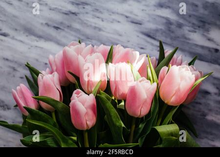 Rosa Tulpen auf Marmorboden, floraler Rand Stockfoto