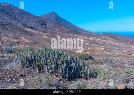 Karge Landschaft von Fuerteventura auf der Halbinsel Jandia, Kanarische Inseln, Spanien. Stockfoto