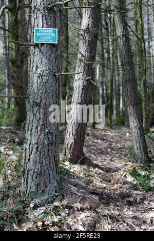 Private Woodland mit kein öffentliches Recht auf Weg Zeichen in Großbritannien Stockfoto