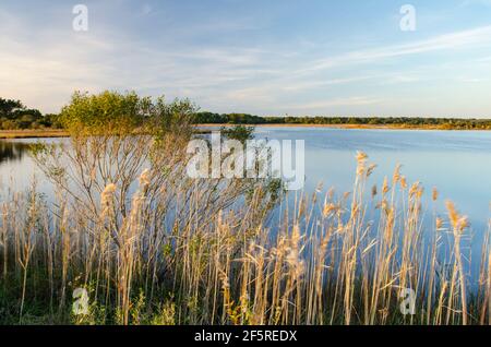 Sonnenuntergang und Goldene Stunde im Chincoteague National Park, Virginia, USA Stockfoto