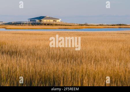 Sonnenuntergang und Goldene Stunde im Chincoteague National Park, Virginia, USA Stockfoto