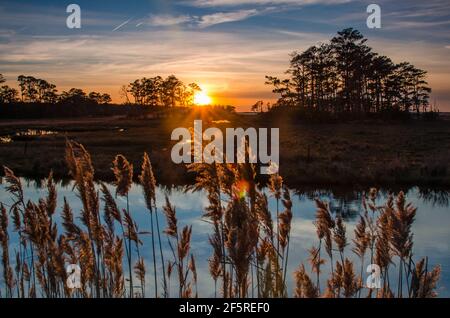 Sonnenuntergang und Goldene Stunde im Chincoteague National Park, Virginia, USA Stockfoto