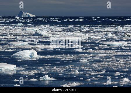 Schmelzendes Eis. Schwimmende Eisblöcke in der Antarktis Stockfoto