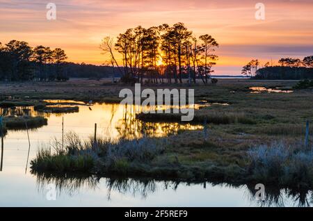 Sonnenuntergang und Goldene Stunde im Chincoteague National Park, Virginia, USA Stockfoto