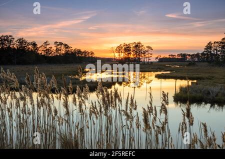Sonnenuntergang und Goldene Stunde im Chincoteague National Park, Virginia, USA Stockfoto