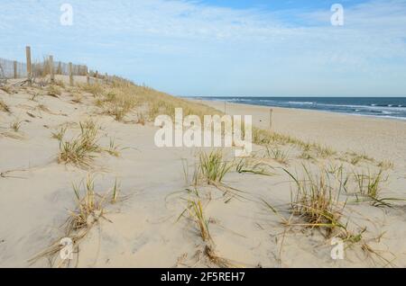 Die leere Küstenlinie entlang der Küste von Assateague/Chincoteague an der Ostküste der USA Stockfoto