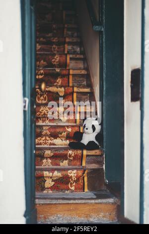 Eine vertikale Aufnahme einer Tür mit einem stoop und lange alte Holztreppe hinauf in die dunkle häusliche Innenausstattung, mit einem selektiven Fokus auf den Schritt eines s Stockfoto