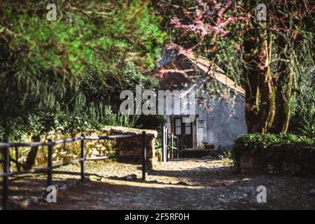 Eine ruhige ländliche Szene mit einer flachen Schärfentiefe Und ein selektiver Fokus auf ein altes Steinhaus in Die Landschaft mit einem Dreiecksdach im Schatten Stockfoto