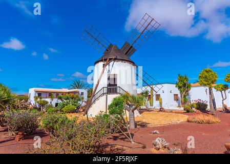 Windmühle im Museum von Majorero Käse auf Fuerteventura, Kanarische Inseln, Spanien. Stockfoto