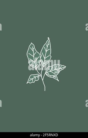 Druckbare minimalistische botanische Illustration. Wohnkultur, Wandkunst. Boho. Stockfoto