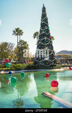 Orlando Florida, Januar 05,2021. Wunderschöner Weihnachtsbaum in den Hollywood Studios (113) Stockfoto