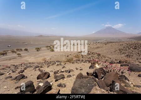 Lake Natron Bereich Landschaft, Tansania, Afrika. Ol Doinyo Lengai Vulkan. Berg Gottes. Afrikanische Panorama Stockfoto