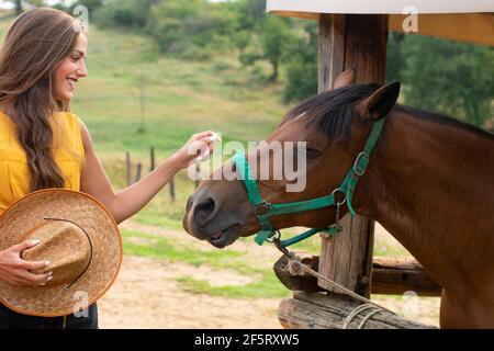 Mädchen streicheln das braune Pferd in einem Stall. Cowgirl auf einer Ranch Stockfoto