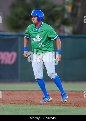 Deland, FL, USA. März 2021, 27th. FGCU Infielder Alejandro Figueredo (34) während NCAA Baseball-Spiel zwischen den Florida Gulf Coast Eagles und die Stetson Hatters in Melching Field in Deland, FL Romeo T Guzman/CSM/Alamy Live News Stockfoto