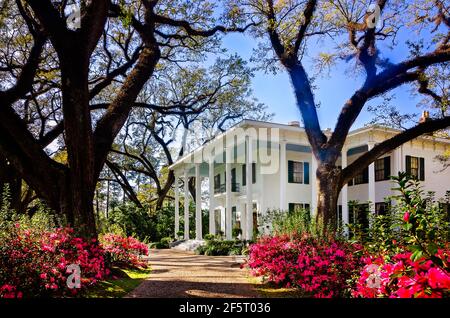 Azaleen blühen im Bragg-Mitchell Mansion, 21. März 2021, in Mobile, Alabama. Das 1855 Griechische Revival Vorkriegshaus ist eine beliebte Attraktion. Stockfoto