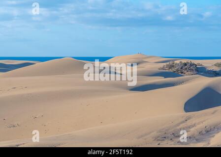 Sonnenaufgang über Sanddünen bei Maspalomas, Gran Canaria, Kanarische Inseln, Spanien. Stockfoto