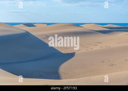 Sonnenaufgang über Sanddünen bei Maspalomas, Gran Canaria, Kanarische Inseln, Spanien. Stockfoto