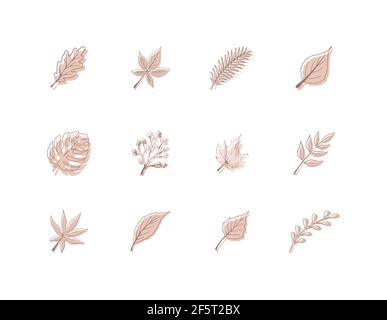 Abstrakte Blätter. Minimalistische Kunst in Pastelltönen. Designelemente für Wandkunst, Social Media, Poster, Aufkleber und Einladungen. Moderner Vektor Stock Vektor