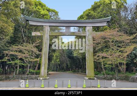 Torii-Tor aus japanischer Zypresse am Gokoku-Schrein von Fukuoka. Diese Torii ist zufällig die größte aus rohem Holz hergestellte Torii in Japan. Stockfoto