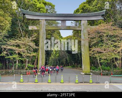 Torii-Tor aus japanischer Zypresse am Gokoku-Schrein von Fukuoka. Diese Torii ist zufällig die größte aus rohem Holz hergestellte Torii in Japan. Stockfoto