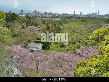 Blick von den Ruinen der Burg Maizuru: Ohori Park und Fukuoka Skyline. Fukuoka, Japan. Stockfoto