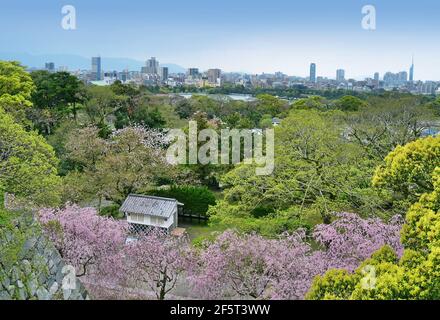 Blick von den Ruinen der Burg Maizuru: Ohori Park und Fukuoka Skyline. Fukuoka, Japan. Stockfoto