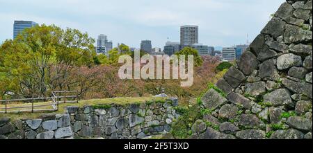 Blick von den Ruinen der Burg Maizuru: Ohori Park und Fukuoka Skyline. Fukuoka, Japan. 04-07-2015 Stockfoto