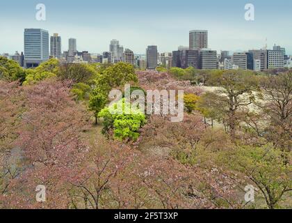 Blick auf die Skyline von Fukuoka von den Ruinen der Burg Maizuru. Fukuoka, Japan. 04-07-2015 Stockfoto