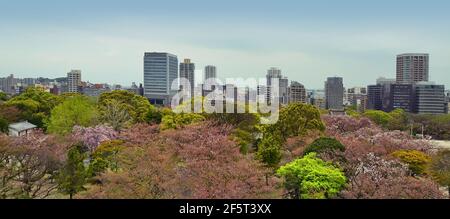 Blick auf die Skyline von Fukuoka von den Ruinen der Burg Maizuru. Fukuoka, Japan. 04-07-2015 Stockfoto