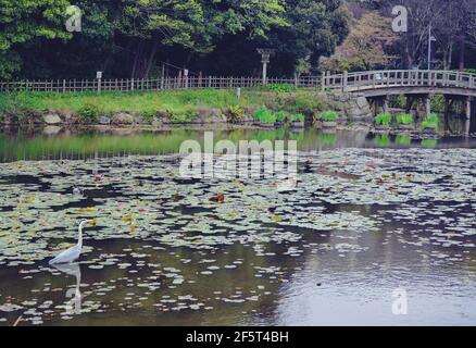 Blick auf den Maizuru Park in Fukuoka, Japan Stockfoto