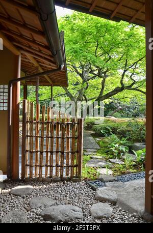 Shofuen Garten und Teestube, Fukuoka Stadt, Japan. Standort von Shofuso, der Residenz des berühmten Zenpachi Tanakamaru. Stockfoto