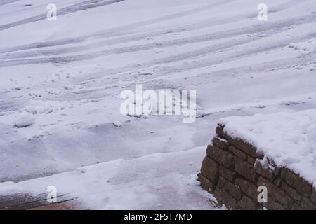 Alter Baum mit Schnee bedeckt Stockfoto