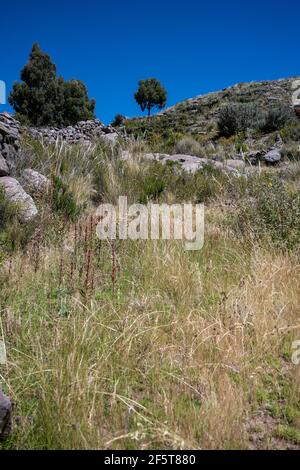 Ollantaytambo Sanctuary, Peru, die alte Stadt war vor drei oder vier Jahrhunderten ein Stammesreich im Inka-Reich, das neben dem Urubamba-Fluss gebaut wurde, Stockfoto