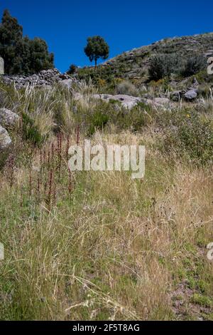 Ollantaytambo Sanctuary, Peru, die alte Stadt war vor drei oder vier Jahrhunderten ein Stammesreich im Inka-Reich, das neben dem Urubamba-Fluss gebaut wurde, Stockfoto