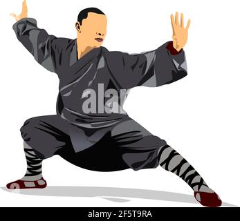 Orientalischer Kampfsport. Wushu. Farbige vektorgrafik 3D Stock Vektor