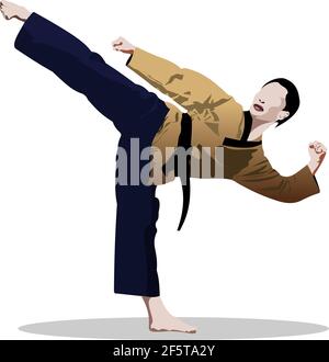 Orientalischer Kampfsport. Kungfu. Farbige vektorgrafik 3D Stock Vektor