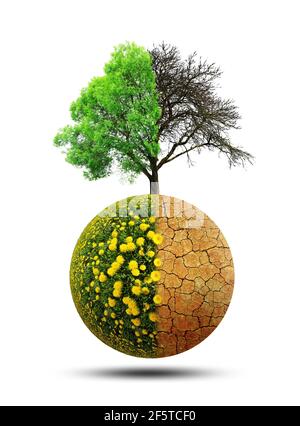 Üppiger und trockener Planet mit Baum isoliert auf weißem Hintergrund. Konzept des Klimawandels oder der globalen Erwärmung. Stockfoto