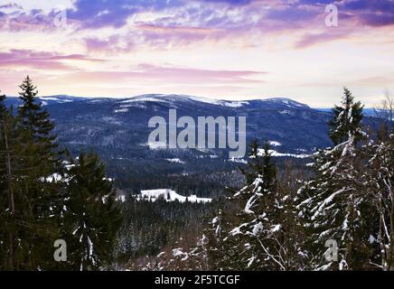 Winterlandschaft bei Sonnenaufgang. Nationalpark Sumava. Blick vom Pancir Berg. Tschechische republik. Stockfoto