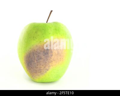 Fauler grüner Apfel auf weißem Hintergrund. Stockfoto