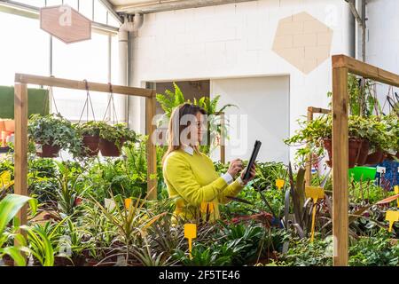 Gärtnerin mit modernen Tablette beim Zählen von Pflanzen und Arbeiten Im Gartencenter Stockfoto