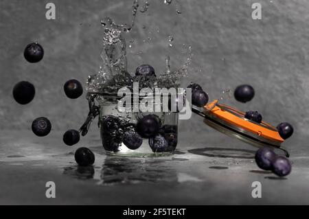 Frische Heidelbeeren fallen in Glas und spritzt Wasser auf Grauer Hintergrund im Studio Stockfoto