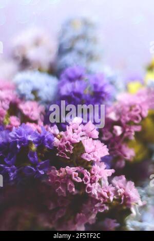 Ein Bouquet von Limonium in Sonnenblendung. Foto.-Karte Stockfoto