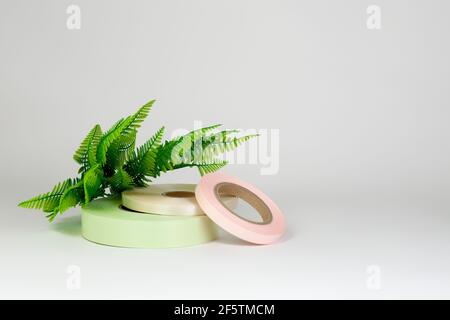 Zusammensetzung von drei Rollen Satinbänder in rosa, grün, beige für Tags oder Nähen mit Zweig aus Farn oder Gras, isoliert auf einem weißen, grauen Hintergrund Stockfoto