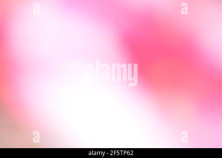 Farblich abfallend rosa und weiß Hintergrund für Tapeten und Designs, unscharfer abstrakter rosa und weißer Hintergrund in pastellfarbenem Farbverlauf Stockfoto