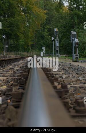 Bahn von der deutschen Trai namens Molly in der Nähe der deutschen Stadt Bad Doberan Stockfoto
